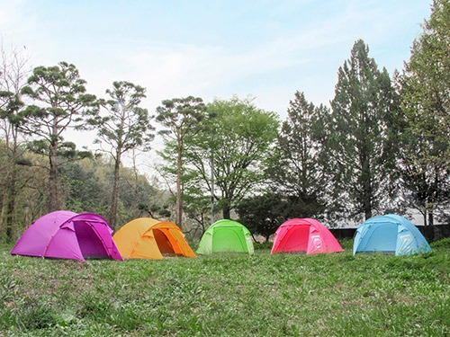 잼버리 돔 텐트